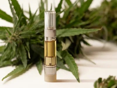 Experience Full-Spectrum Flavor with Muha med carts
